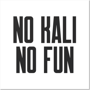 Cybersecurity No Kali No Fun Slogan Posters and Art